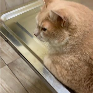 Meet your Posher, Maike